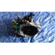 211. VW Passat 1,9D